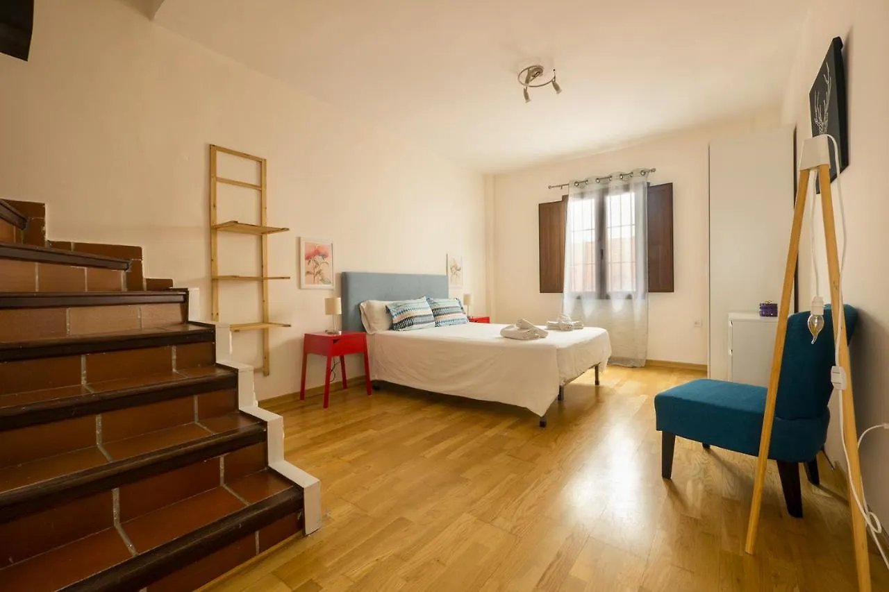 Coqueto Apartamento Duplex Con Terraza Privada Y Parking Granada Apartment